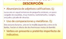 Características de la descripción