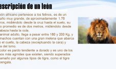 La descripción de un león